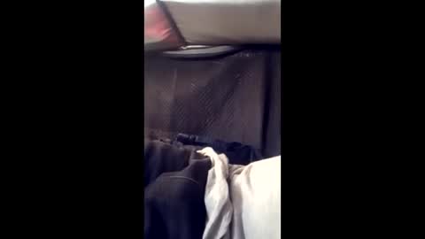 Snapshot of peckerwood7inchdpnu4cash chatting on 03/25/26, 09:43 peckerwood7inchdpnu4cash online show from 03/25/26, 09:43