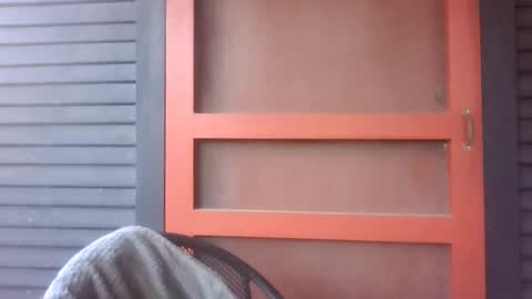 Snapshot of pecos8686 chatting on 03/21/26, 04:43 pecos8686 online show from 03/21/26, 04:43