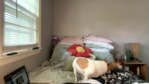 Snapshot of pegggggysue69 chatting on 03/20/26, 07:30 pegggggysue69 online show from 03/20/26, 07:30