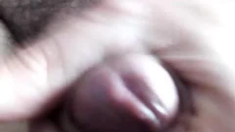 Snapshot of peiboluna chatting on 02/11/25, 10:59 peiboluna online show from 02/11/25, 10:59