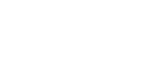 Snapshot of penpu chatting on 01/27/25, 11:33   online show from 01/27/25, 11:33