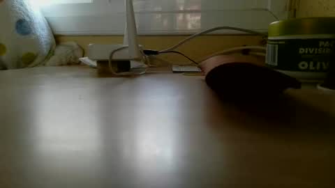 Snapshot of perales_12345 chatting on 01/18/26, 04:00 perales_12345 online show from 01/18/26, 04:00