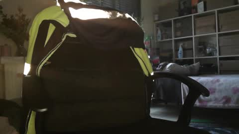 Snapshot of peregrintpelfox chatting on 12/16/25, 10:20 peregrintpelfox online show from 12/16/25, 10:20