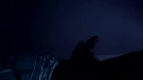 Snapshot of perfect427482577143 chatting on 02/26/26, 08:24 perfect427482577143 online show from 02/26/26, 08:24