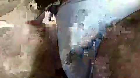 perfectFTM online show from 04/03/26, 06:33