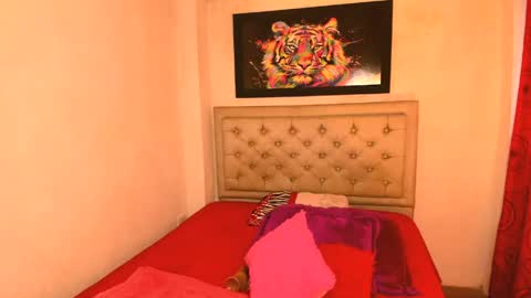 perla_kpop_ online show from 05/01/26, 04:55