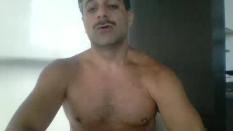 Snapshot of persianprince546 chatting on 05/26/26, 02:13 persianprince546 online show from 05/26/26, 02:13