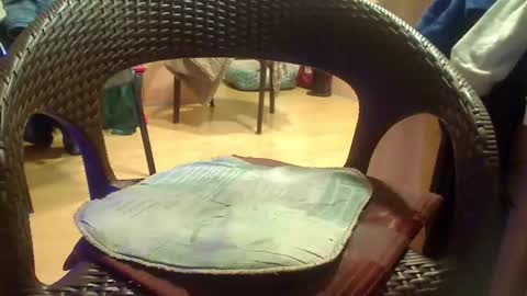 peta000007 online show from 12/04/25, 09:12