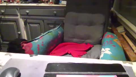 Snapshot of peter_on_kik chatting on 11/01/25, 04:25 make me cum in pvt dutch german daddy c2c bigcock online show from 11/01/25, 04:25