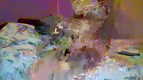 petite_baby23 online show from 05/23/26, 10:36