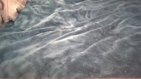 Snapshot of petite_cupcake chatting on 02/26/25, 02:59 Little cupcake online show from 02/26/25, 02:59