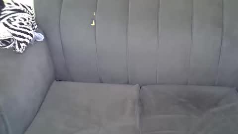 Kitty online show from 06/11/26, 01:49