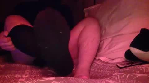 petmask online show from 04/21/26, 12:34