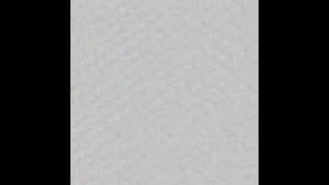 peytonn_monroe online show from 10/31/25, 12:06