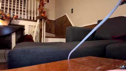 PhatAssBlond online show from 09/26/25, 03:32