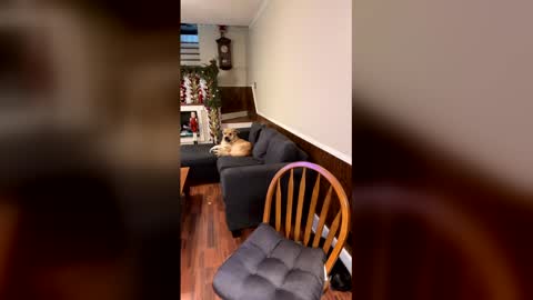 PhatAssBlond online show from 12/15/25, 03:05