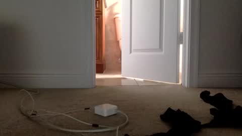 Snapshot of phenomenal4u2 chatting on 04/01/26, 04:48 Its always better when its forbidden online show from 04/01/26, 04:48