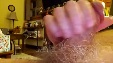 Snapshot of phil719 chatting on 12/17/24, 04:34 Phil online show from 12/17/24, 04:34