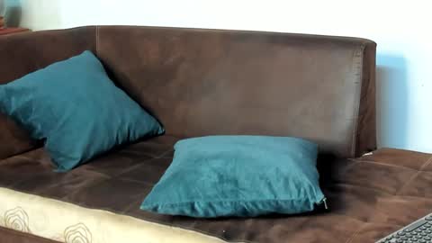 Philip Dalton online show from 01/28/25, 10:45