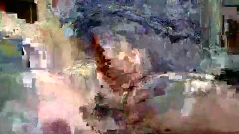 phill268 online show from 12/28/24, 06:49