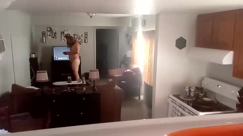 Snapshot of phinfan35276 chatting on 02/23/25, 08:44 Phinfan online show from 02/23/25, 08:44