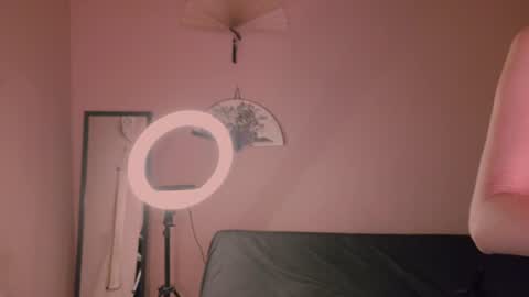 Snapshot of phoenixx_x chatting on 07/26/26, 08:27 phoenixx_x online show from 07/26/26, 08:27