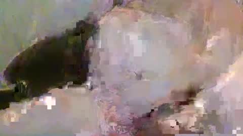 Pickup844 online show from 01/04/25, 08:39