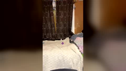 piecesxx online show from 06/02/26, 05:42