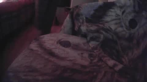 pierre1705 online show from 05/14/26, 03:35