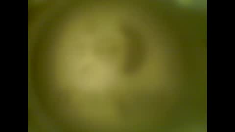 Snapshot of pierrecard1 chatting on 10/13/25, 05:40 pierrecard1 online show from 10/13/25, 05:40