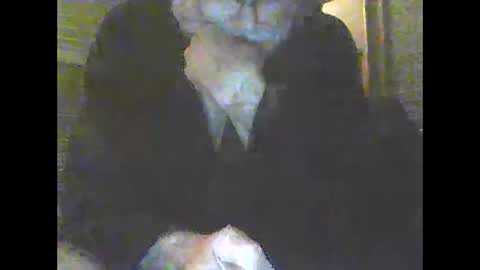 Snapshot of pigbear4trans chatting on 12/31/24, 10:15 pigbear4trans online show from 12/31/24, 10:15