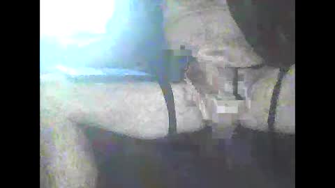 Snapshot of pigbear4trans chatting on 01/03/25, 04:48 pigbear4trans online show from 01/03/25, 04:48