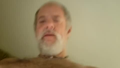 pigbear4trans online show from 01/29/25, 07:04