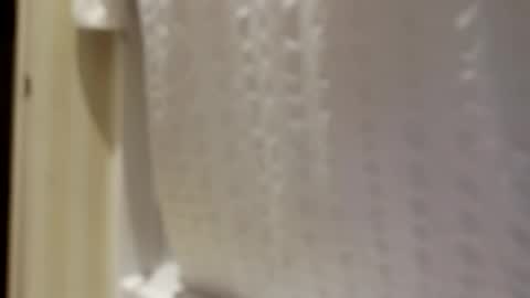 Snapshot of pigbear4trans chatting on 09/30/25, 06:51 pigbear4trans online show from 09/30/25, 06:51