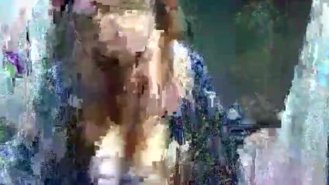Carol online show from 05/11/26, 03:45
