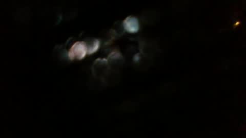 Snapshot of pingpong6 chatting on 03/17/26, 04:17 pingpong6 online show from 03/17/26, 04:17