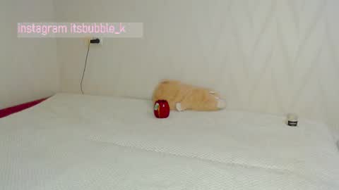 Snapshot of pink_pikachu_ chatting on 03/04/25, 11:00 Pikachu pika online show from 03/04/25, 11:00