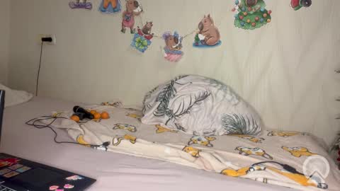 Pikachu pika online show from 02/19/26, 10:06