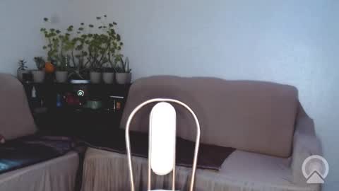 Pikachu pika online show from 03/20/26, 05:40