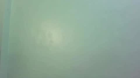 Snapshot of pinkish_shine chatting on 02/13/25, 11:17 Hi its me shine online show from 02/13/25, 11:17