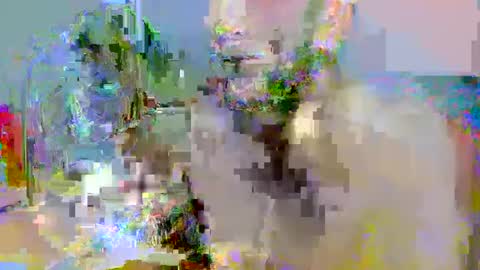 Snapshot of pipe_sexxx chatting on 10/14/25, 02:34 pipe_sexxx online show from 10/14/25, 02:34