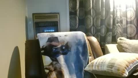 pirate334 online show from 01/07/26, 11:29