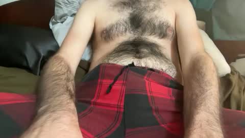 pistilstamen online show from 12/04/25, 06:49