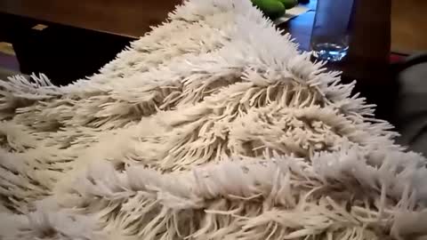 Snapshot of pitoenmano_ chatting on 02/09/25, 06:33 Antn online show from 02/09/25, 06:33