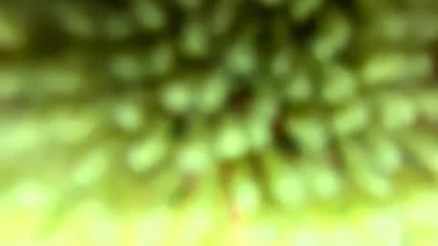 Snapshot of pitt821 chatting on 02/04/26, 09:09 Mike online show from 02/04/26, 09:09