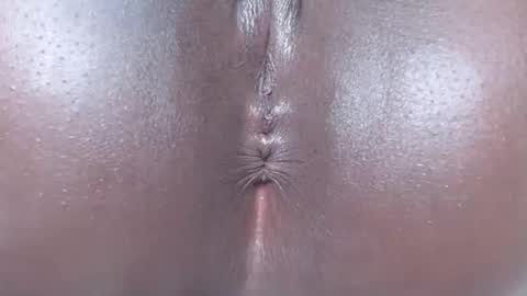 pixel online show from 01/10/26, 06:37