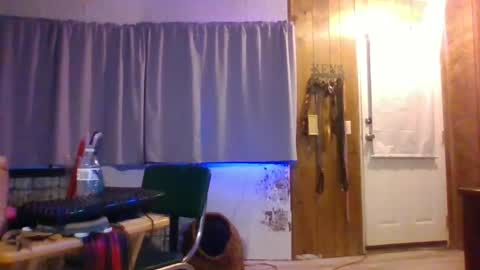 chaz online show from 06/13/26, 03:48