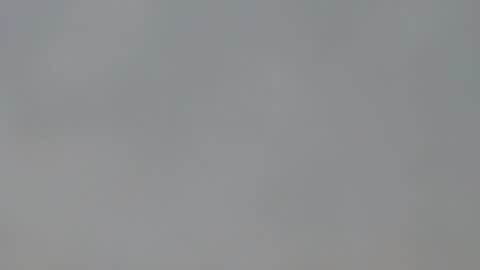 playboypetit online show from 01/15/25, 09:41