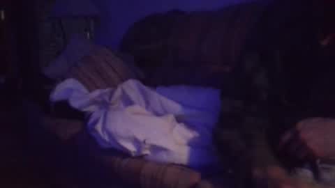 Snapshot of playerpleasure chatting on 04/04/26, 10:02 playerpleasure online show from 04/04/26, 10:02