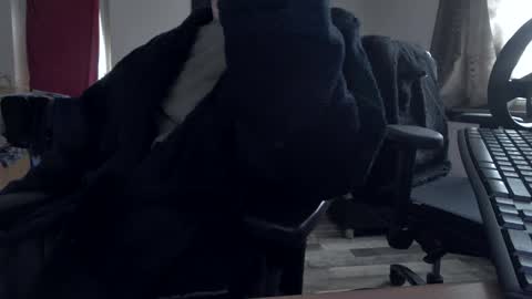 Snapshot of plboy23 chatting on 11/30/25, 09:35 Hello ask me . Im glad to see you here in my room. Welcome PVT is open online show from 11/30/25, 09:35